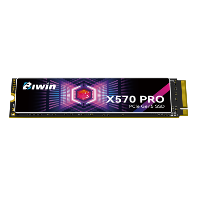 Biwin X570Pro 1 TB M.2 PCI Express 5.0 NVMe
