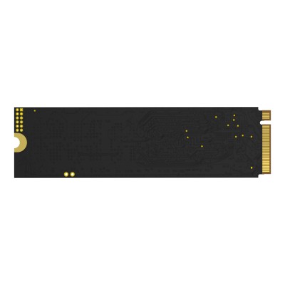 Biwin M350 500 GB M.2 PCI Express 4.0 NVMe