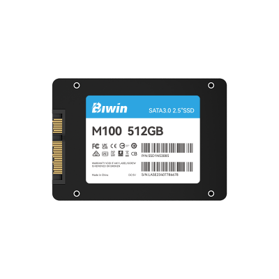 Biwin M100 512 GB 2.5" Serial ATA III