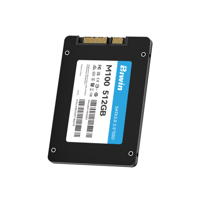 Biwin M100 512 GB 2.5" Serial ATA III