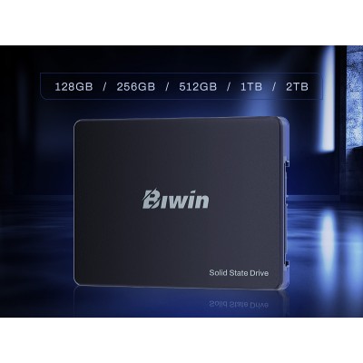 Biwin M100 128 GB 2.5" Serial ATA III