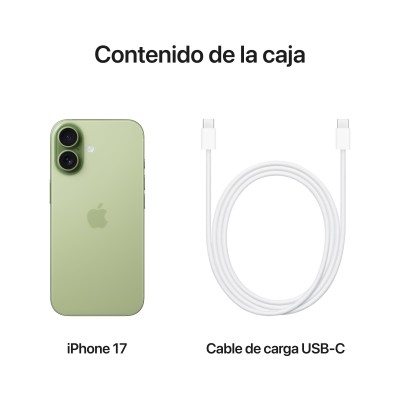 Apple iPhone 17 16 cm (6.3") SIM doble iOS 26 5G USB Tipo C 256 GB Salvia