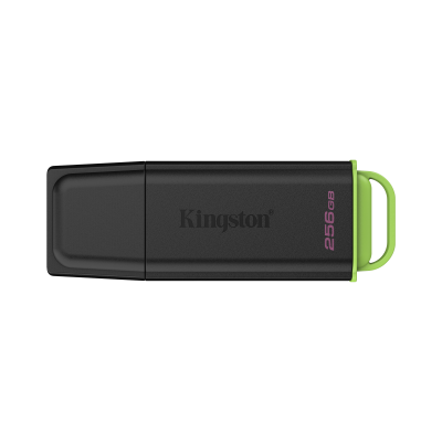 Kingston Technology DataTraveler 256GB Portátil USB 3.2