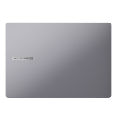 ASUS ExpertBook P3 PM3606CKA-PL0494 Copilot+ PC - Ordenador Portátil 16" WQXGA (AMD Ryzen AI 5 330, 32GB RAM, 1TB SSD, Radeon 8