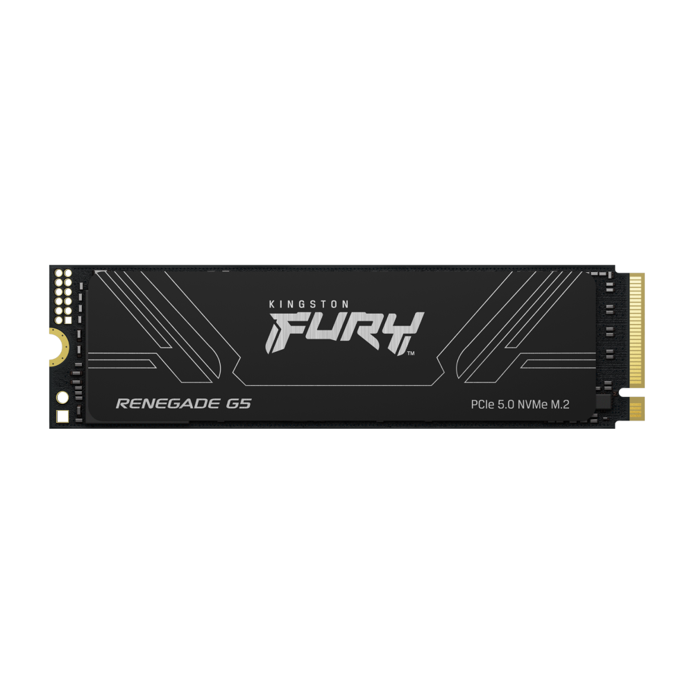 Kingston Technology 2T FURY RENEGADE G5 M.2 2280 NVMe SSD