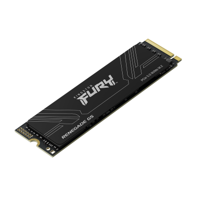 Kingston Technology 2T FURY RENEGADE G5 M.2 2280 NVMe SSD